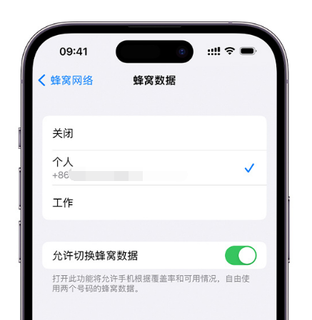 正安苹果维修服务分享如何在iPhone上使用双卡 